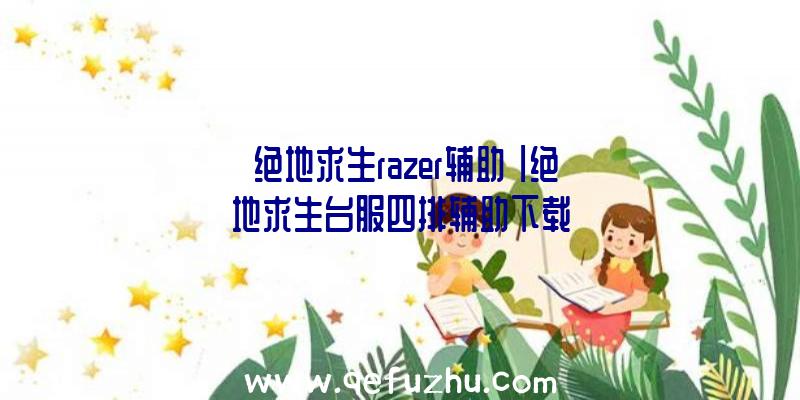 「绝地求生razer辅助」|绝地求生台服四排辅助下载